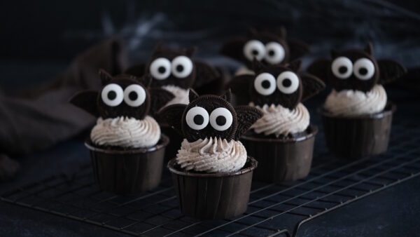 F.Chauve souris et fantômes d'Halloween parent/enfant 6-12ans 31/10