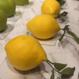 N.Masterclass "Les fruits en trompe l'oeil" 19 au 21/02