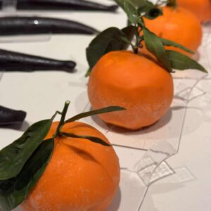 G.Masterclass "Les fruits en trompe l'oeil" 22 au 24/01